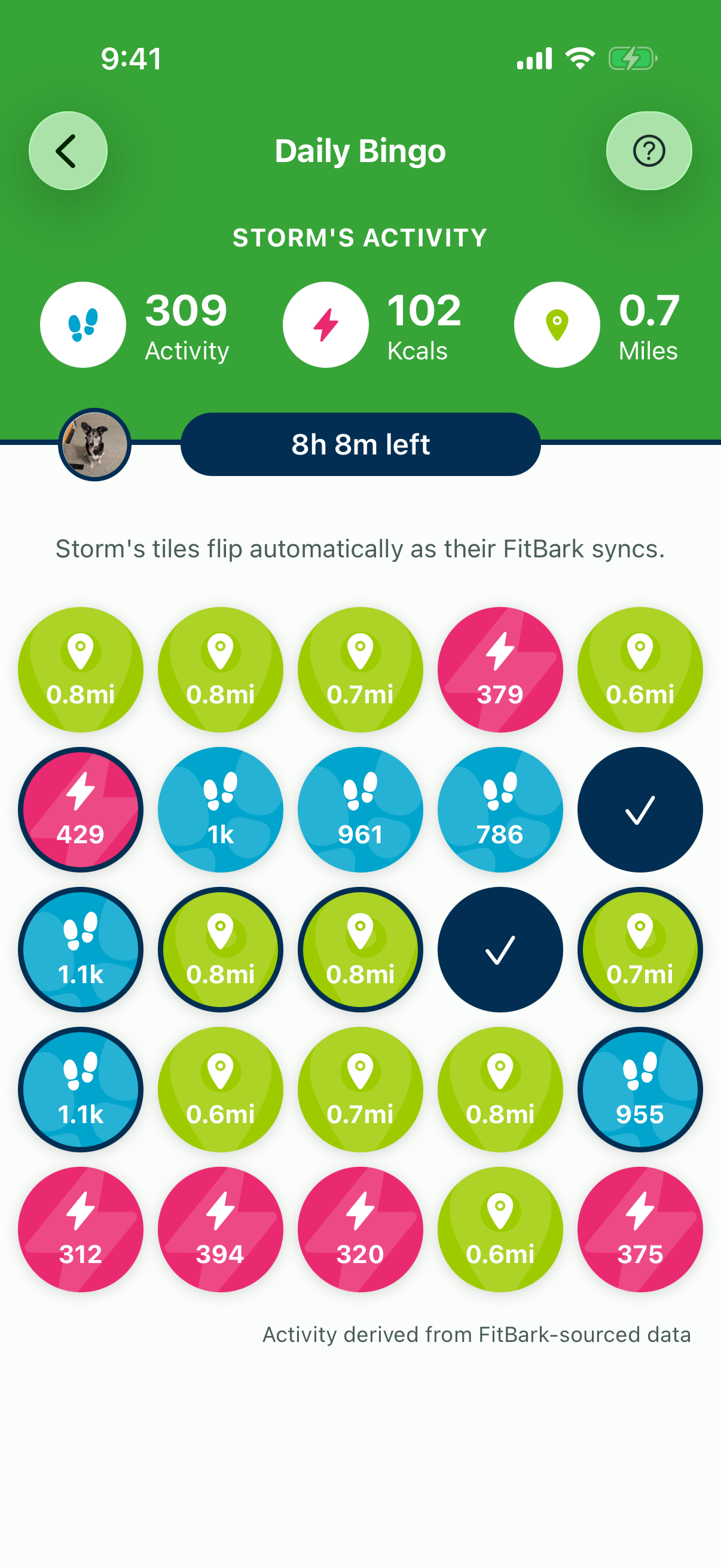 Daily Bingo showing a dog's board with tiles scaled to their FitBark activity
